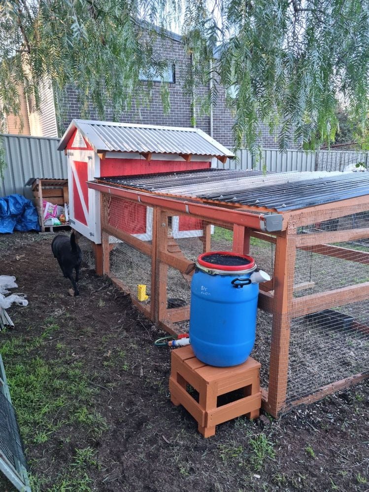 20220521_160153.jpg 20220521_160153.jpg