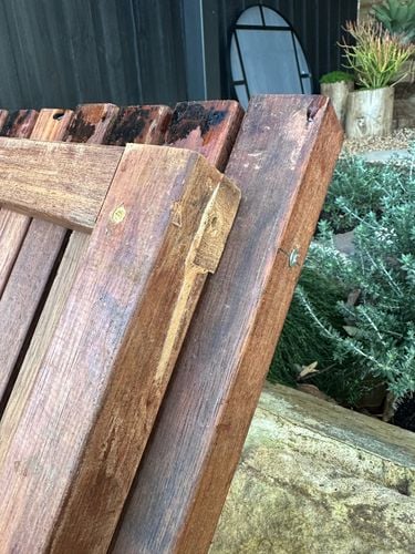 IMG_1613.jpeg IMG_1613.jpeg