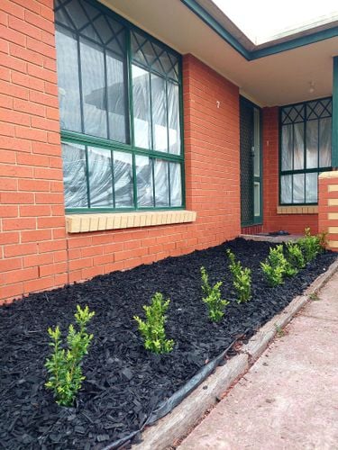 20220922_172131.jpg 20220922_172131.jpg