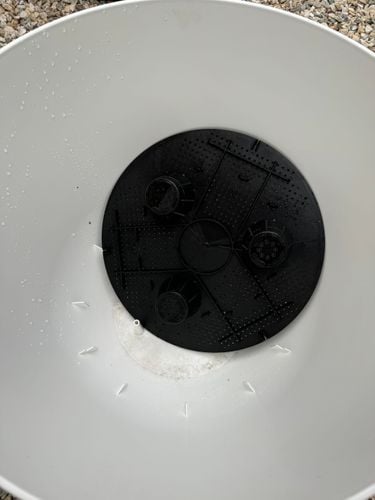 IMG_9677.jpeg IMG_9677.jpeg