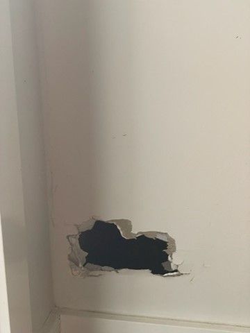 Picture1.jpg Picture1.jpg