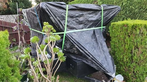 20210430_172005.jpg 20210430_172005.jpg