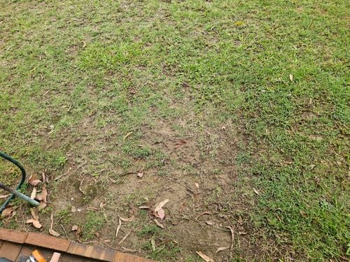 20241204_062828.jpg 20241204_062828.jpg