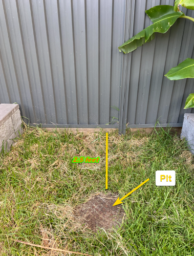 nagumuthu_0-1676189727689.png nagumuthu_0-1676189727689.png