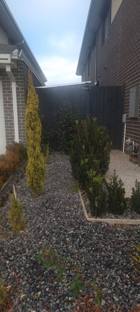 20250627_083016.jpg 20250627_083016.jpg