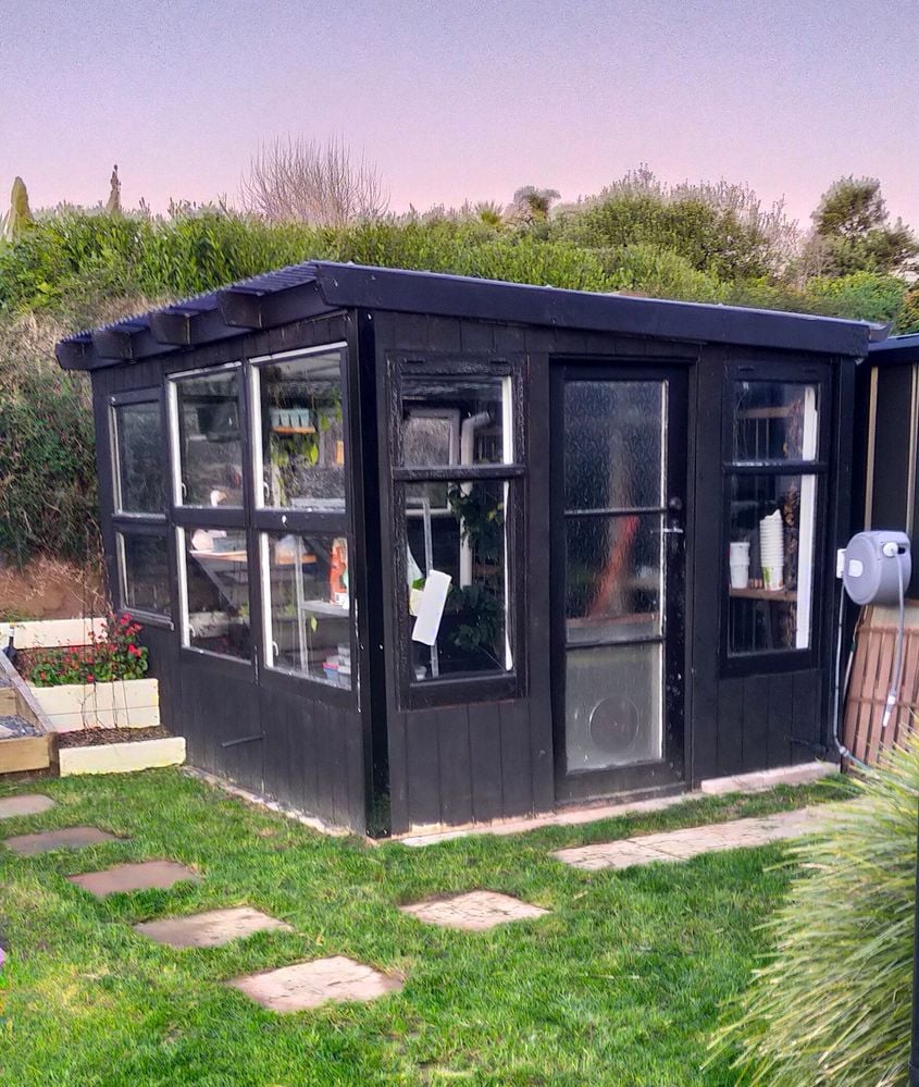 IMG_20250724_181309.jpg IMG_20250724_181309.jpg