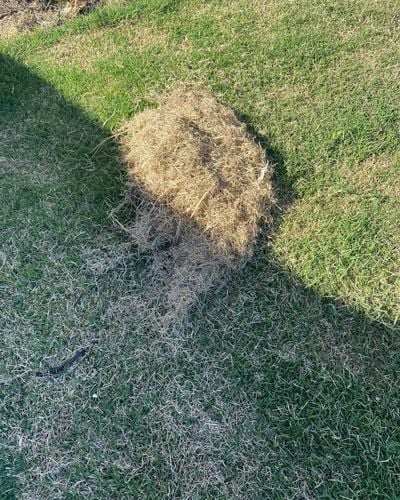 D52CF94C-6066-454F-8C09-8B45992E375F.jpeg D52CF94C-6066-454F-8C09-8B45992E375F.jpeg