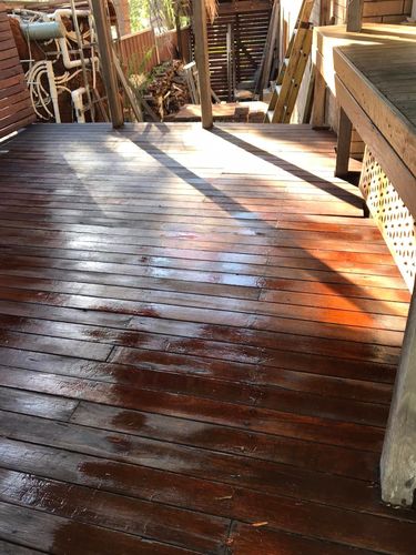 37 16-12-2024.jpg 37 16-12-2024.jpg