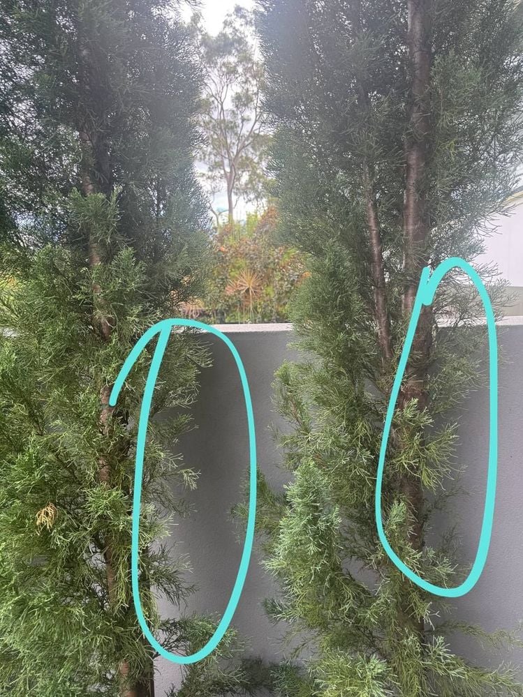 photo_6289356401398628886_y.jpg photo_6289356401398628886_y.jpg