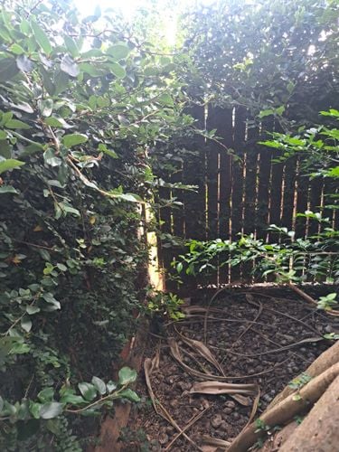 1000073144.jpg 1000073144.jpg