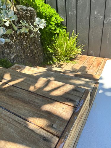 IMG_9210.jpeg IMG_9210.jpeg