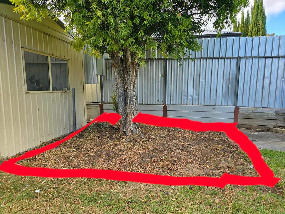 decking.jpeg decking.jpeg