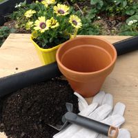 2.1 Choose a premium potting mix.JPG 2.1 Choose a premium potting mix.JPG