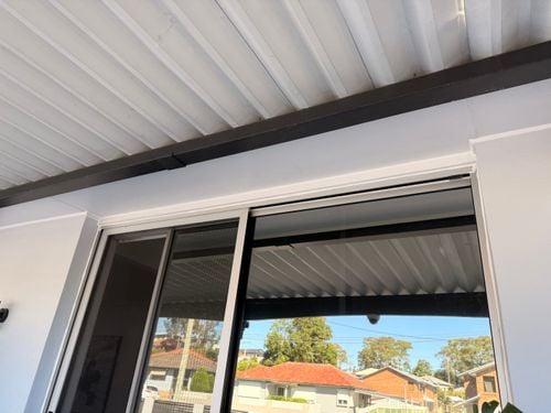 IMG_7872.jpeg IMG_7872.jpeg