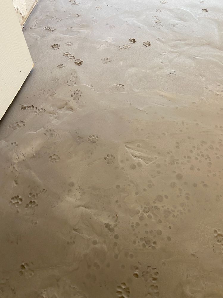 FC11D678-E658-4F04-8882-0405D5553812.jpeg FC11D678-E658-4F04-8882-0405D5553812.jpeg