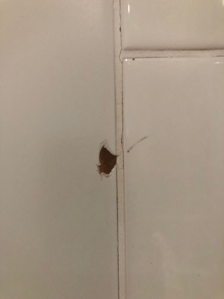 IMG_5922.jpeg IMG_5922.jpeg