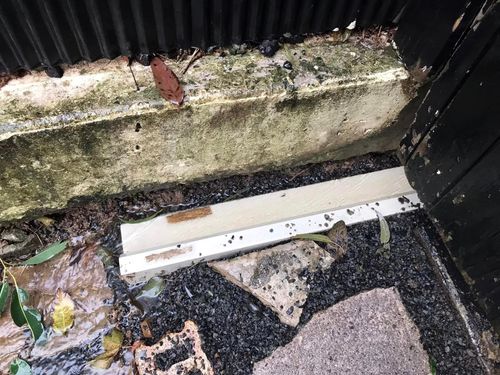 67 04-07-2022.jpg 67 04-07-2022.jpg