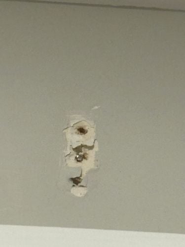 IMG_7088.jpeg IMG_7088.jpeg