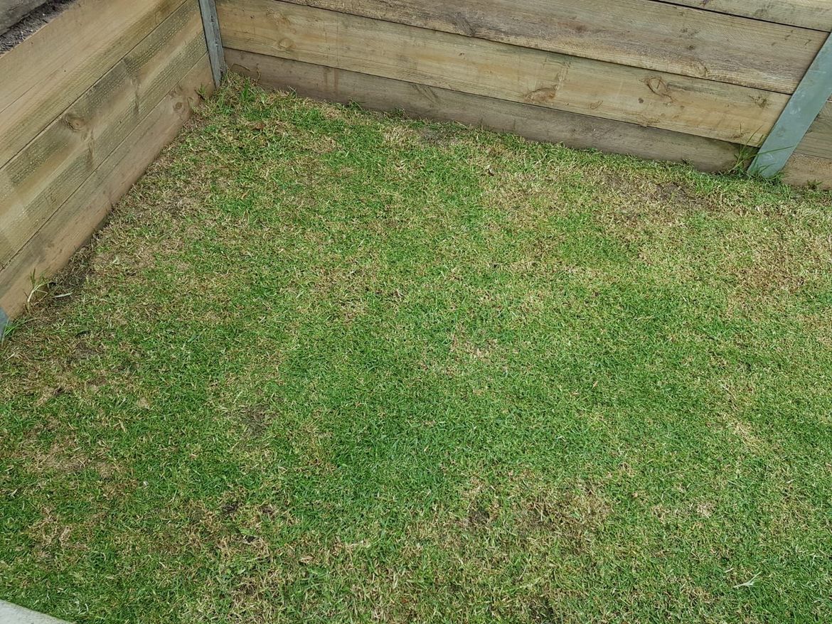 WhatsApp Image 2021-03-01 at 11.32.57 PM (1).jpeg WhatsApp Image 2021-03-01 at 11.32.57 PM (1).jpeg