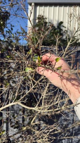 IMG_0886.jpeg IMG_0886.jpeg