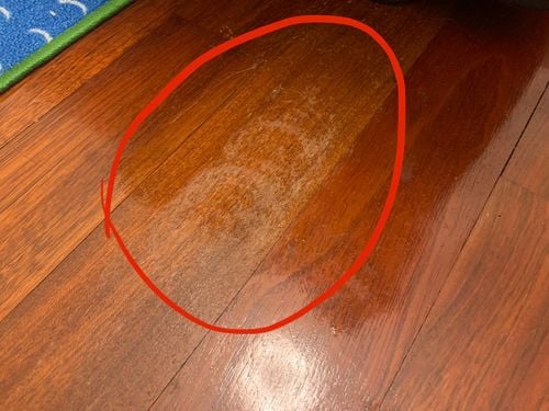 2B31A4DE-D18E-4EA6-857D-E7040F6FE69E.jpeg 2B31A4DE-D18E-4EA6-857D-E7040F6FE69E.jpeg