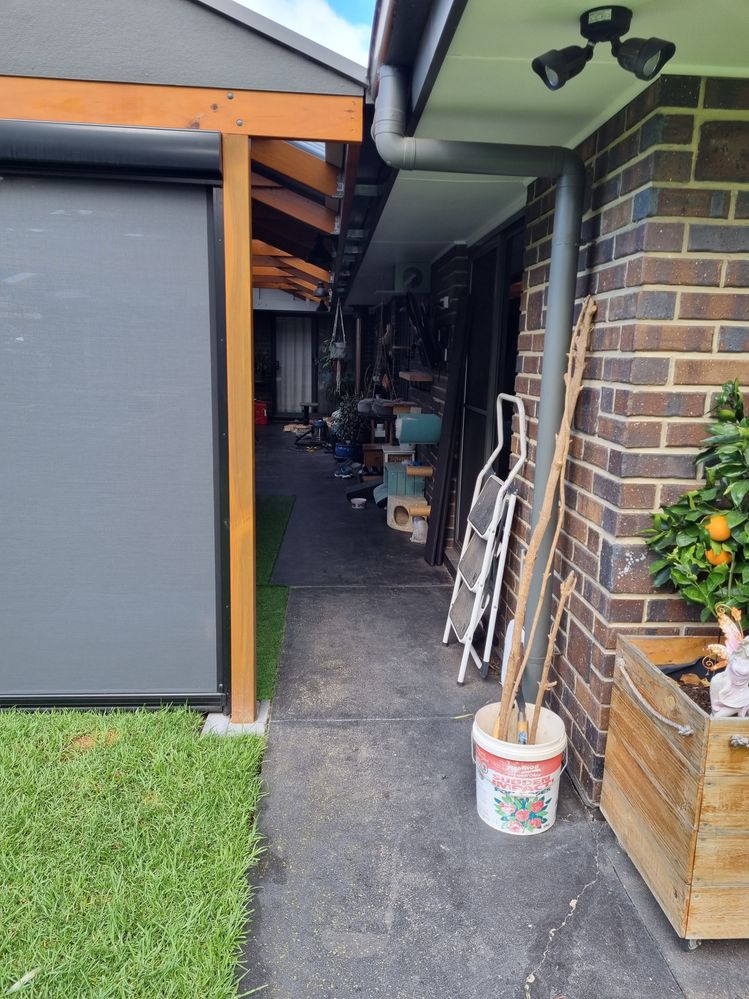 20220616_111549.jpg 20220616_111549.jpg