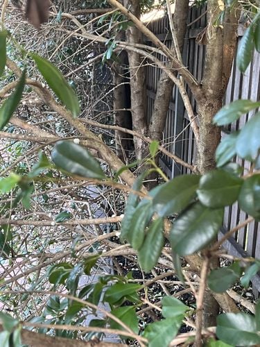 IMG_6824.jpeg IMG_6824.jpeg