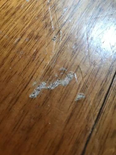 54D08DF8-26A6-4E24-8CEC-8CC575EABBA1.jpeg 54D08DF8-26A6-4E24-8CEC-8CC575EABBA1.jpeg