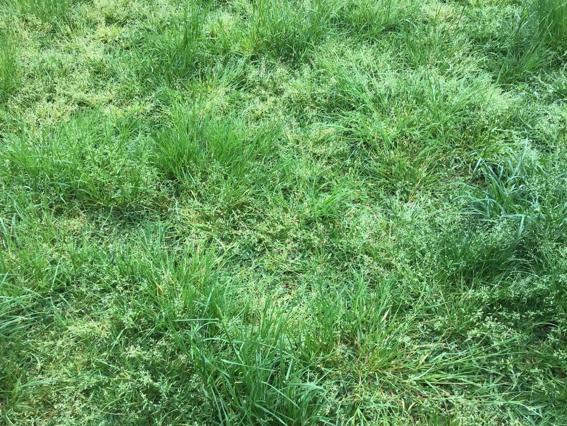 IMG_5057.jpeg IMG_5057.jpeg