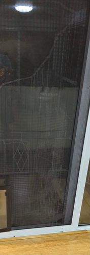 FD6F1ABF-819A-4521-8B6C-16AEABBADF73.jpeg FD6F1ABF-819A-4521-8B6C-16AEABBADF73.jpeg