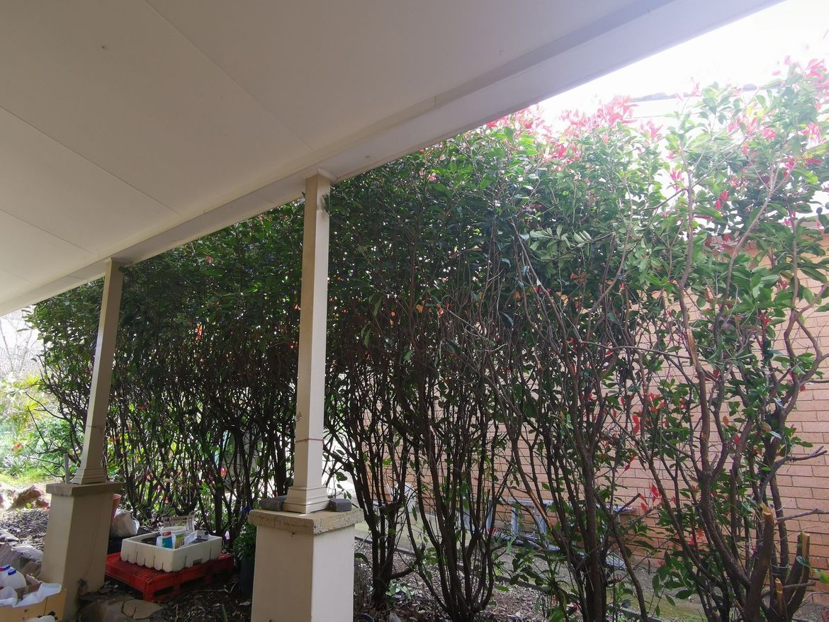 IMG_20200902_104954.jpg IMG_20200902_104954.jpg