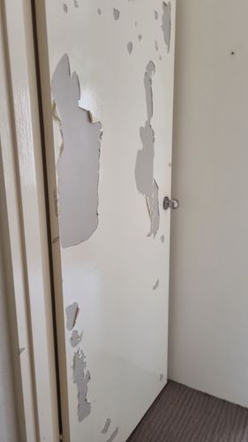 1000037186.jpg 1000037186.jpg