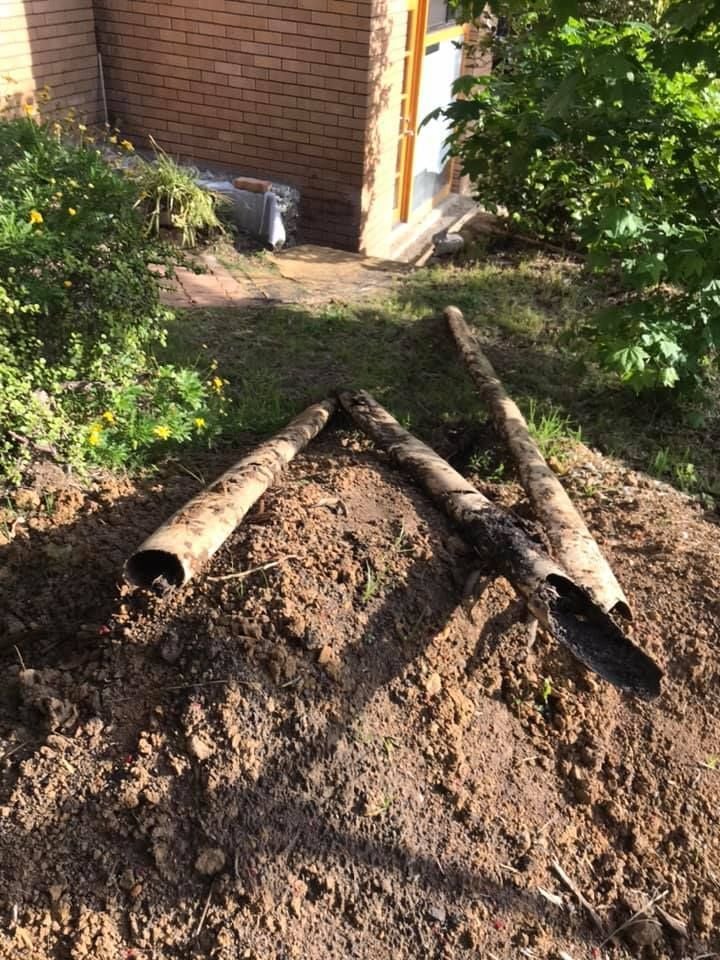 31 21-10-2021.jpg 31 21-10-2021.jpg