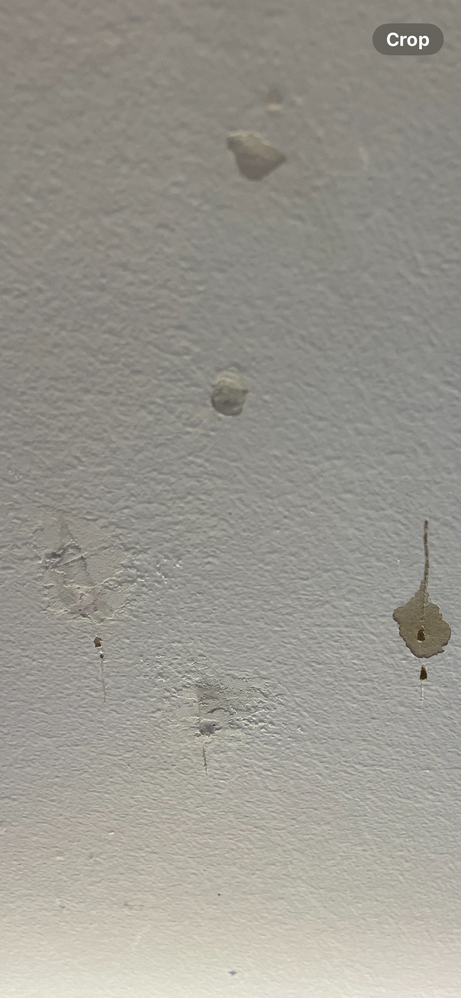 IMG_9601.PNG IMG_9601.PNG