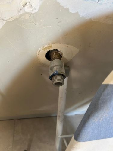 IMG_2213.jpeg IMG_2213.jpeg