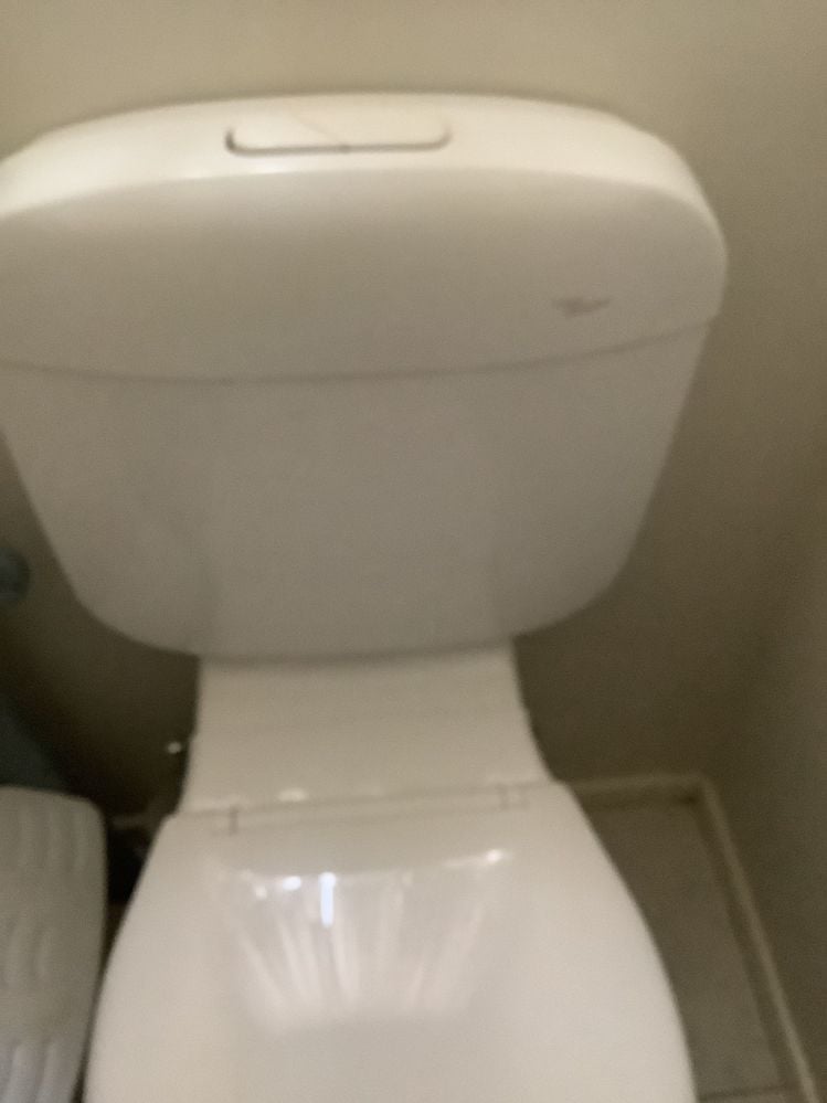 924C7707-CA97-4E45-9305-84B361FFEE3D.jpeg 924C7707-CA97-4E45-9305-84B361FFEE3D.jpeg