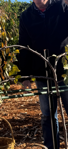 IMG_2510.png IMG_2510.png