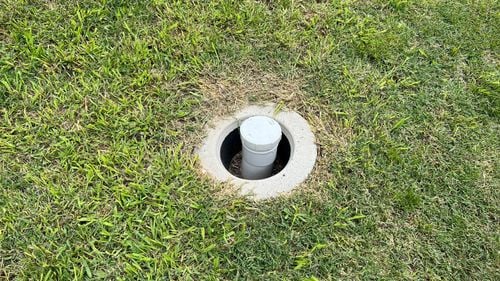 IMG_6343.jpeg IMG_6343.jpeg