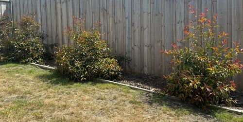 IMG_2218.jpeg IMG_2218.jpeg