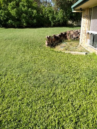 IMG20240106080521.jpg IMG20240106080521.jpg