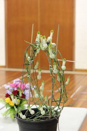 Jason_0-1672712313950.jpeg Jason_0-1672712313950.jpeg