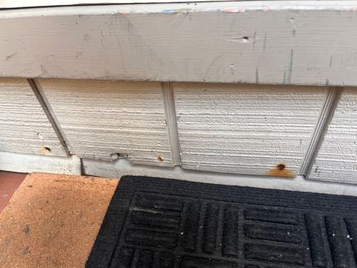 IMG_9867.jpeg IMG_9867.jpeg