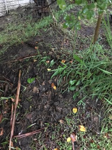 07 06-04-2024.jpg 07 06-04-2024.jpg