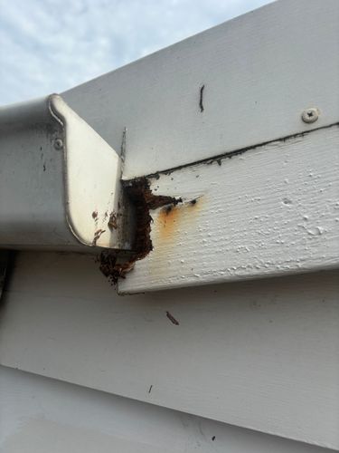 IMG_1506.jpeg IMG_1506.jpeg