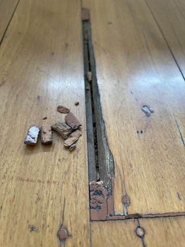 650A478C-1680-4BF1-A1B4-0542818AEC6C.jpeg 650A478C-1680-4BF1-A1B4-0542818AEC6C.jpeg