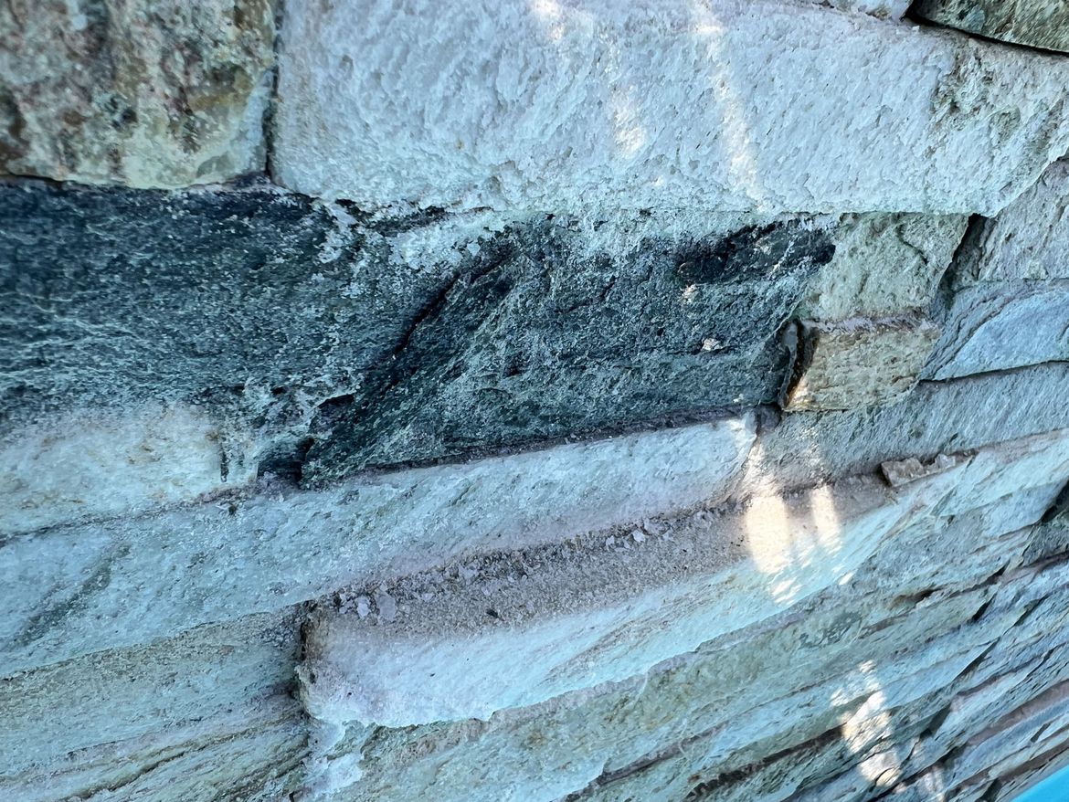 IMG_4221 2.jpg IMG_4221 2.jpg