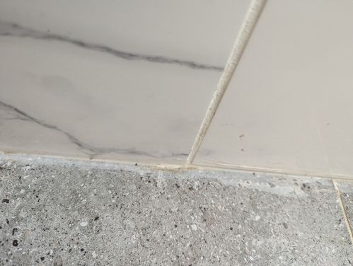 1000029093.jpg 1000029093.jpg