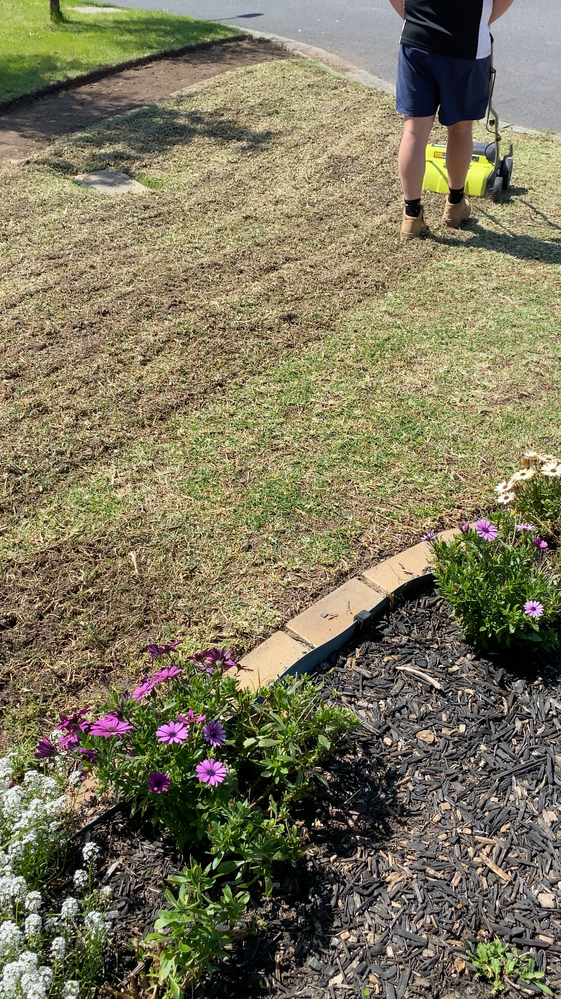 IMG_3121.png IMG_3121.png