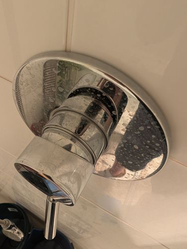 1000004831.jpg 1000004831.jpg