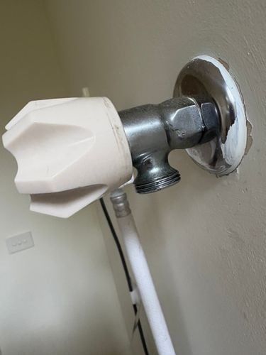 IMG_5915.jpeg IMG_5915.jpeg